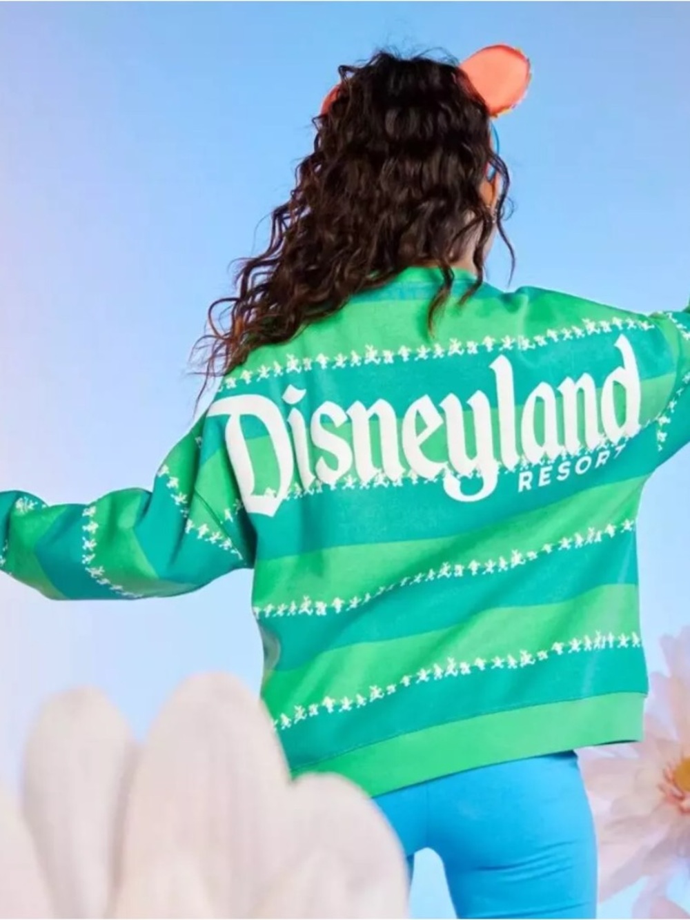 Disneyland - Mickey & Friends Matching Green Stripes
Pullover (Adult)